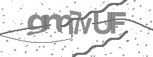 visual captcha